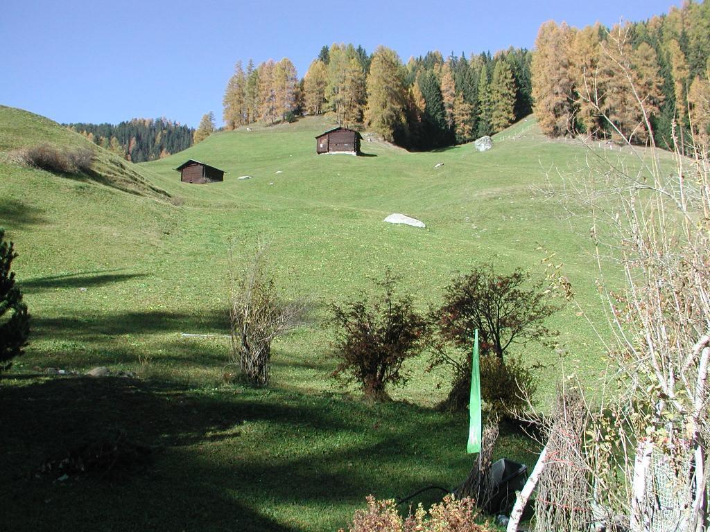 Ferienwohnung Gadenstatt Davos Esterno foto